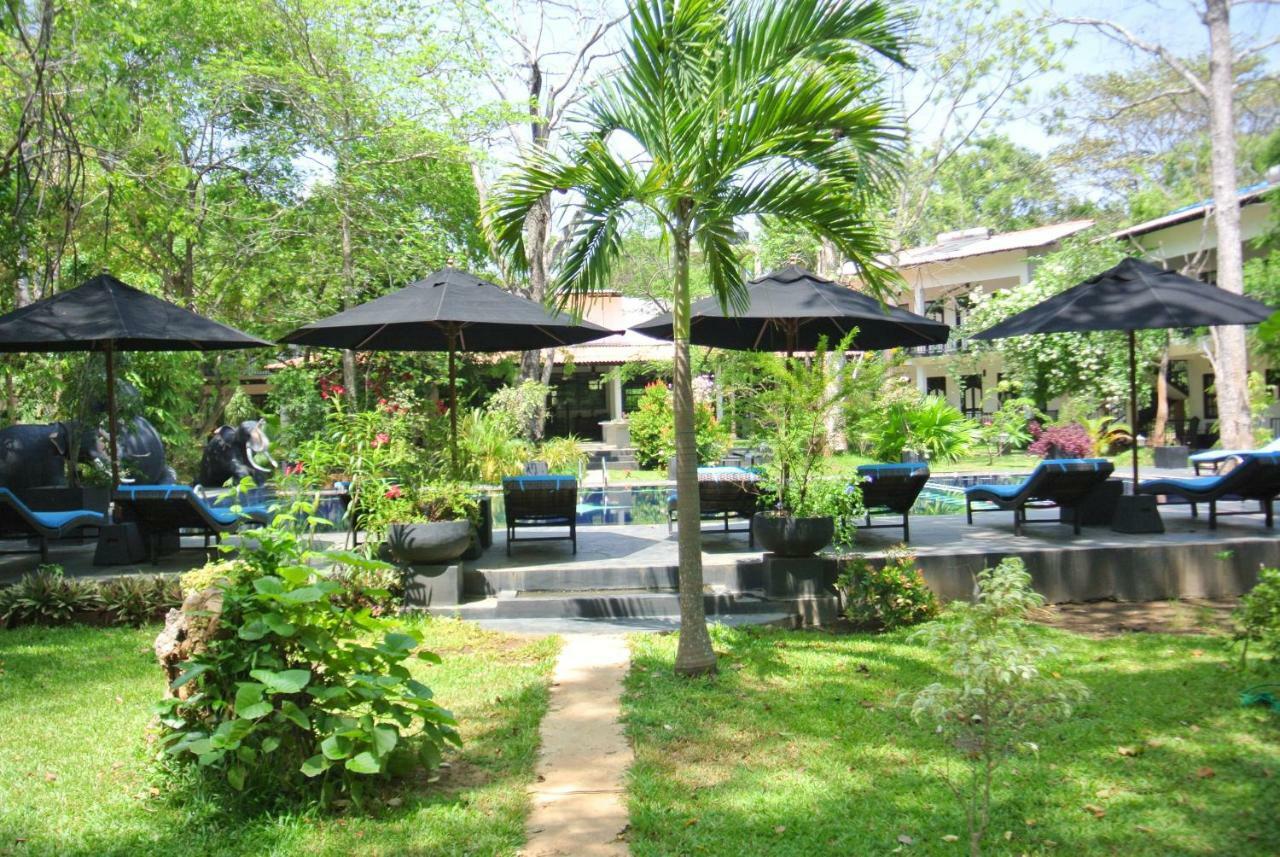 Flower Garden Eco Village Sigiriya Exteriör bild